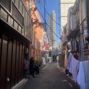 일신장의 이미지