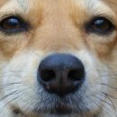 여사친PC 이미지