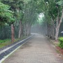 침산공원 이미지