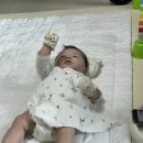 호돌이체육관 이미지