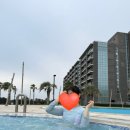 해비치호텔사우나 | 제주 해비치호텔 수영장, 사우나 솔직 후기, 이용팁