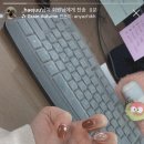 봄,네일(Nail)