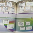 영원가축인공수정소 | [도서 리뷰/ 책 추천 / 후기] / 미술관에 간 물리학자