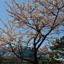 안중근공원 이미지