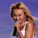다솜헤어라인