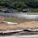 대지부동산중개인사무소 이미지