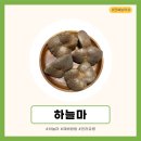 하늘농약사 이미지