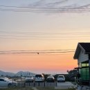 썬블루 | 태안여행 애견동반펜션 애견동반산책 만리포해수욕장