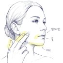 청담연세프리미어의원 | 청담동 실리프팅, 병원 선택 기준 모르면 후회합니다