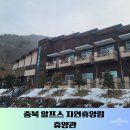 충북알프스자연휴양림 휴양관 숙박 후기(3인 가족)