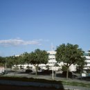 하늘빛약국 | 갑자기 리스본 노을 보러 뛰쳐나간 여자 이야기(2)