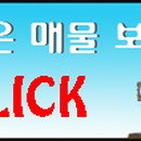 양평엔양서공인중개사사무소 이미지