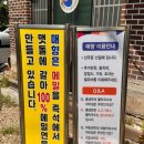 매향밤막국수 | [공주 맛집] 매향 막국수, 편육무침 혼밥 솔직 후기