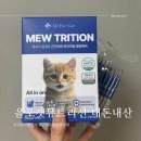 올포 | 하나로 끝내는 고양이 종합영양제 올포캣 내돈내산 후기