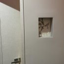 [어메이징빅토리아] 예뻐지기위한 얼굴경락 후기