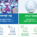 마이데이 이미지