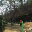 짱오농장 이미지