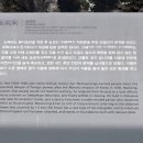 의성 순호리 도해와 네이버블로그