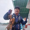돌문어 오늘은 어제보다 더멀리 근디 본전생각 이미지