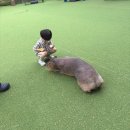 충청북도동물위생시험소 | 아이들과 다녀온 청주 쥬니멀동물원 평일 방문 후기