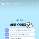 도토리 강아지 유치원 네이버블로그