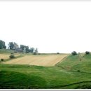 팔복교회 이미지