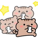 Hipho(하이포) 네이버블로그