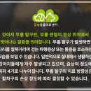 금빛동물수술센터 이미지