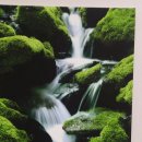 양동면 주민자치센터 이미지