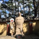 [소프트심볼] 앨리백 리얼 후기! +잠금장치 불량..?