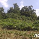 생기율공원 이미지