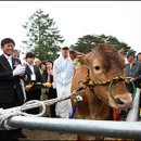 한우나라 이미지