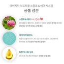 올시스템 이미지