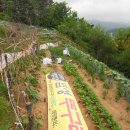 다루농장 이미지