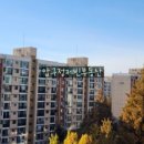 압구정-114 이미지