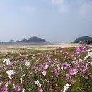 2026.09.11(금) ~ 09.13(일) 자월도 큰말해변 백패킹 이미지