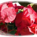 정열농장 이미지