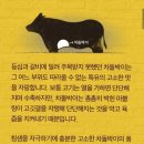 돌배기집강서 | [강서구맛집] 가성비 최고 백종원의 차돌/소고기 맛집! 돌배기집 강서구청점후기