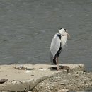 청림전자 이미지