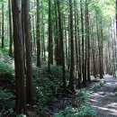 화인상사 이미지