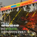 케이시(K.C)마트 | 부산 영수증콘서트 화명생태공원 인증방법과 관람 후기