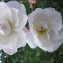 체력단련 이미지