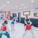 용인대 경찰 태권도장 이미지