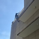 지남미장 이미지