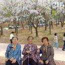 경산시어르신복지센터 | 경산주간보호센터 경산 건화종합재가복지기관, 어르신들께 편안한 하루를 선물하다