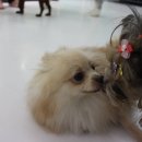치구박고 네이버블로그