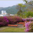 춘천휴게소(중앙고속도로) 이미지