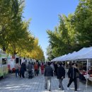 은행나무길(경제진흥원앞) 이미지