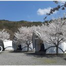 산내 자연 캠프