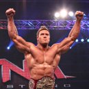 테리비어 이미지